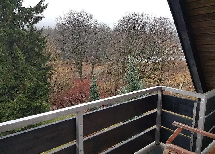 Allegra * 戈斯拉尔