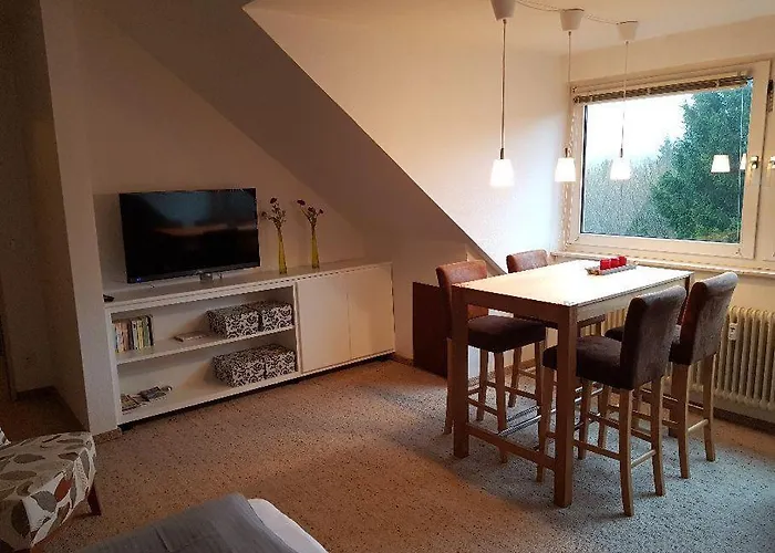 Allegra 戈斯拉尔